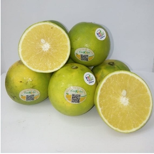 Cam xoàn Lai Vung 3